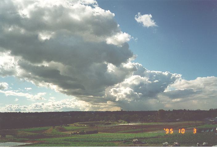 cumulus congestus : Schofields, NSW   3 October 1995