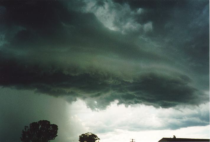 shelfcloud shelf_cloud : Luddenham, NSW   18 November 1995