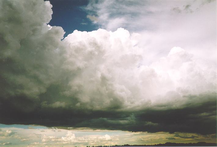 thunderstorm cumulonimbus_calvus : Castlereagh, NSW   18 November 1995