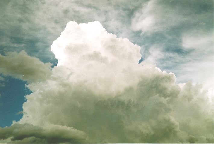 updraft thunderstorm_updrafts : Castlereagh, NSW   18 November 1995