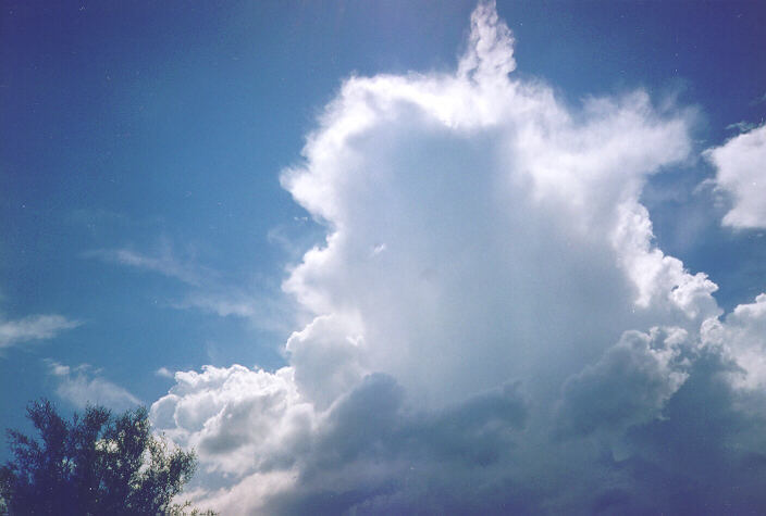 thunderstorm cumulonimbus_incus : Oakhurst, NSW   18 November 1995