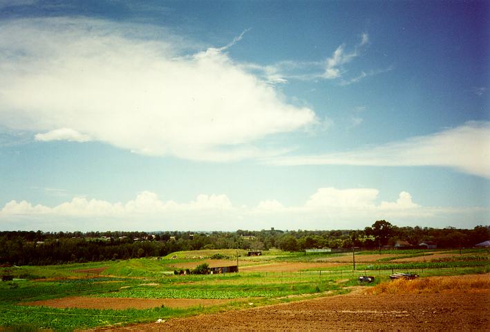 thunderstorm cumulonimbus_calvus : Schofields, NSW   18 December 1995