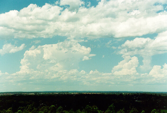 thunderstorm cumulonimbus_calvus : Rooty Hill, NSW   18 December 1995