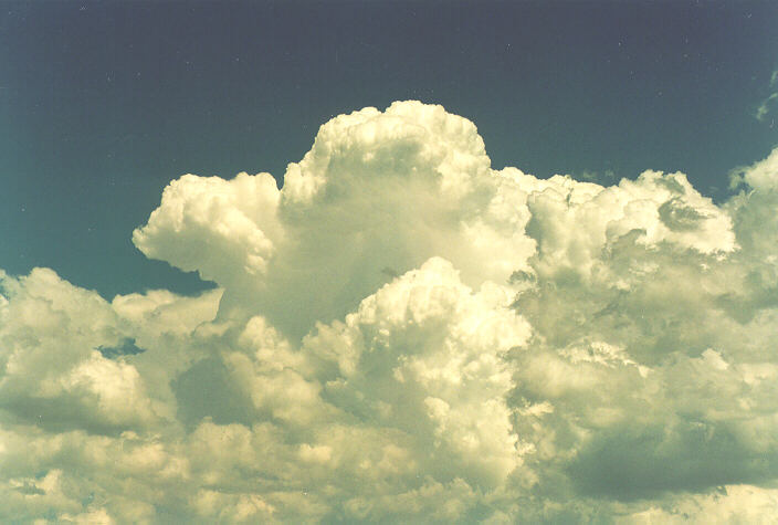 cumulus congestus : Rooty Hill, NSW   18 December 1995