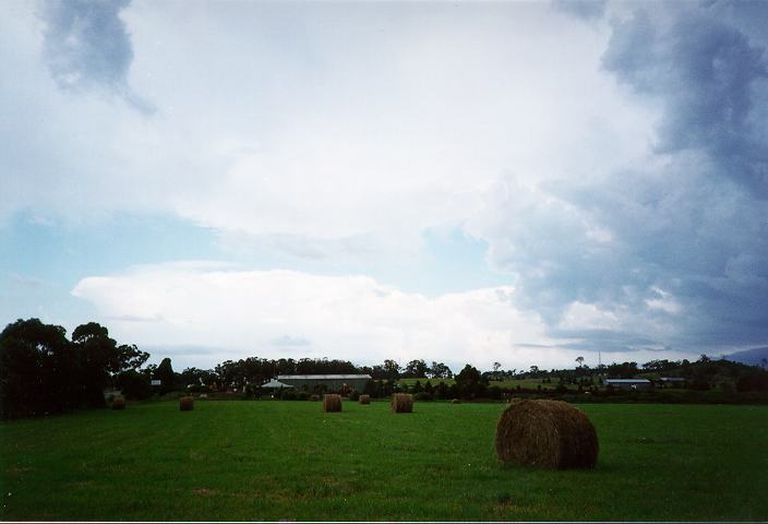 virga virga_pictures : Cobbity, NSW   27 December 1995