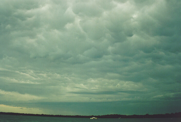 mammatus mammatus_cloud : Ballina, NSW   28 December 1995