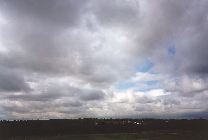 stratocumulus stratocumulus_cloud : Schofields, NSW   18 May 1996