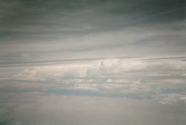 cumulus congestus :    31 July 1996