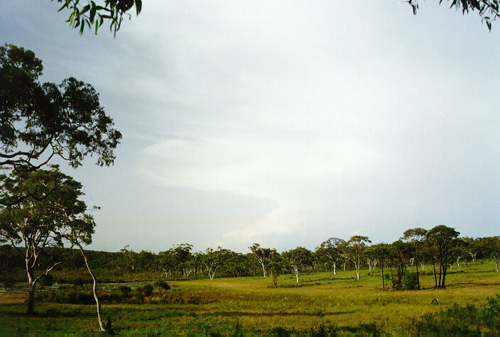 thunderstorm cumulonimbus_incus : Wyee, NSW   29 September 1996