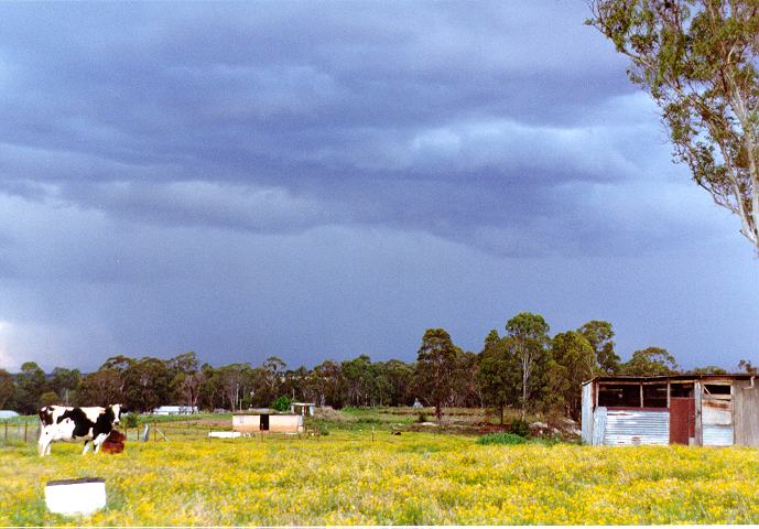 raincascade precipitation_cascade : Schofields, NSW   30 September 1996