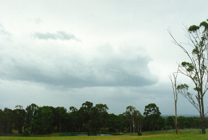 cumulus congestus : Mulgoa, NSW   17 November 1996