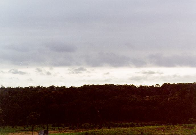 stratus stratus_cloud : Schofields, NSW   5 December 1996