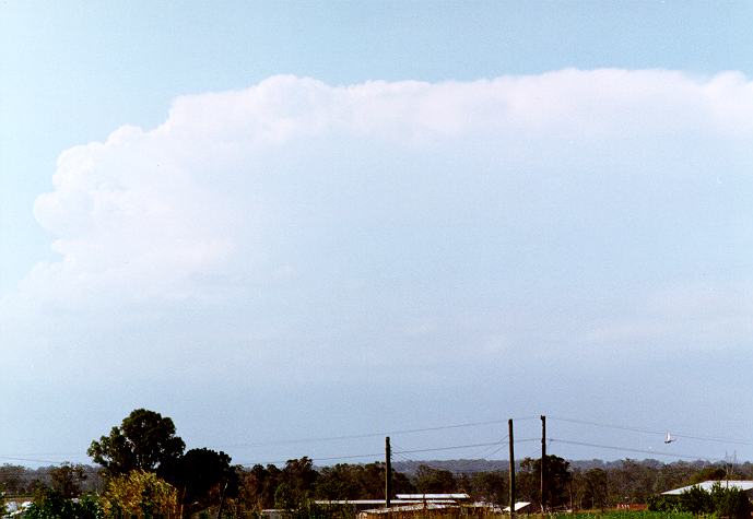 thunderstorm cumulonimbus_incus : Schofields, NSW   29 December 1996