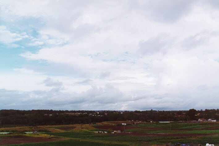 altocumulus altocumulus_cloud : Schofields, NSW   26 January 1997