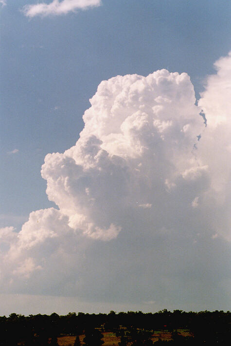 updraft thunderstorm_updrafts : Schofields, NSW   30 March 1997