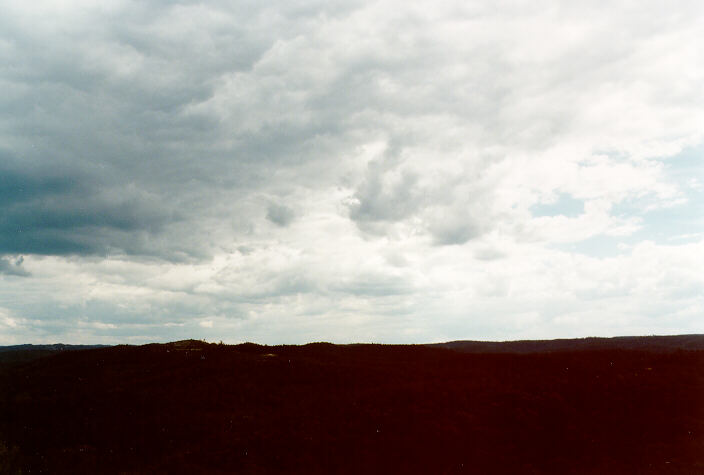 cumulus congestus : Mt Tomah, NSW   26 October 1997