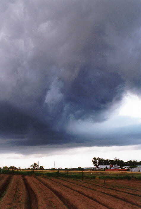 stratocumulus lenticularis : Schofields, NSW   15 November 1997