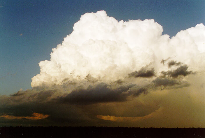 updraft thunderstorm_updrafts : Schofields, NSW   15 November 1997