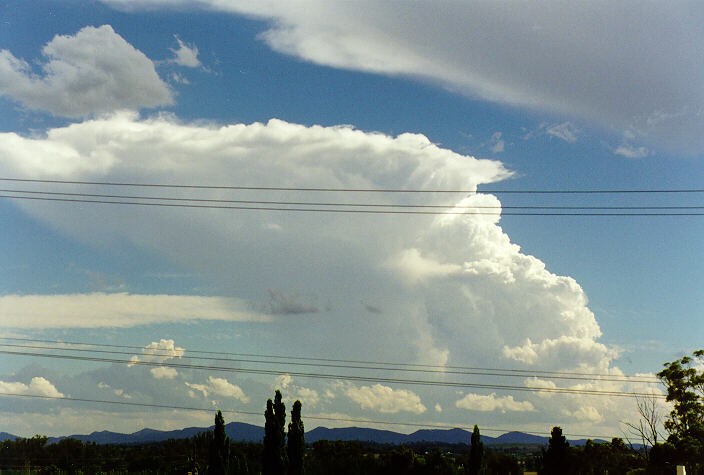 thunderstorm cumulonimbus_incus : Tamworth, NSW   22 December 1997