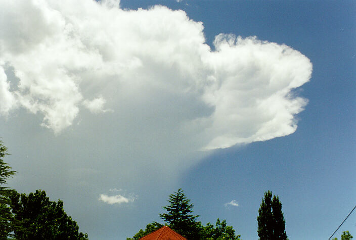 anvil thunderstorm_anvils : Tenterfield, NSW   23 December 1997