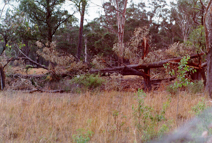 disasters storm_damage : Richmond, NSW   31 December 1997