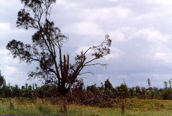 disasters storm_damage : Ulmarra, NSW   14 January 1998