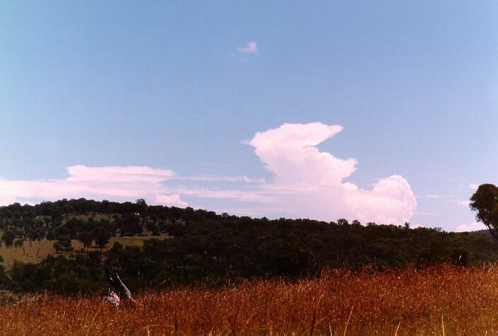 thunderstorm cumulonimbus_incus : east of Armidale, NSW   19 January 1998