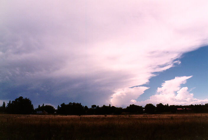 thunderstorm cumulonimbus_incus : Armidale, NSW   19 January 1998