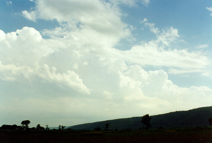 cumulus congestus : Castlereagh, NSW   20 January 1998