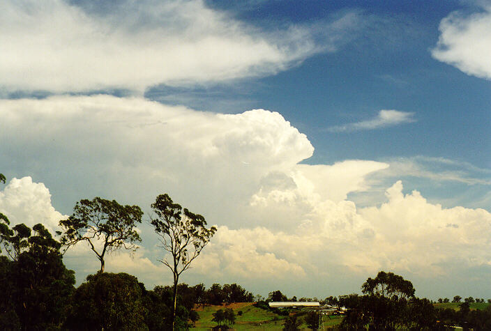 thunderstorm cumulonimbus_incus : Horsley Park, NSW   1 February 1998