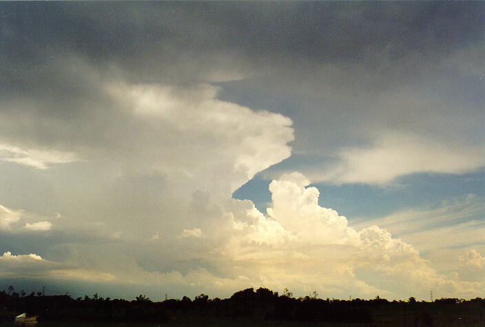 thunderstorm cumulonimbus_incus : Cobbity, NSW   1 February 1998