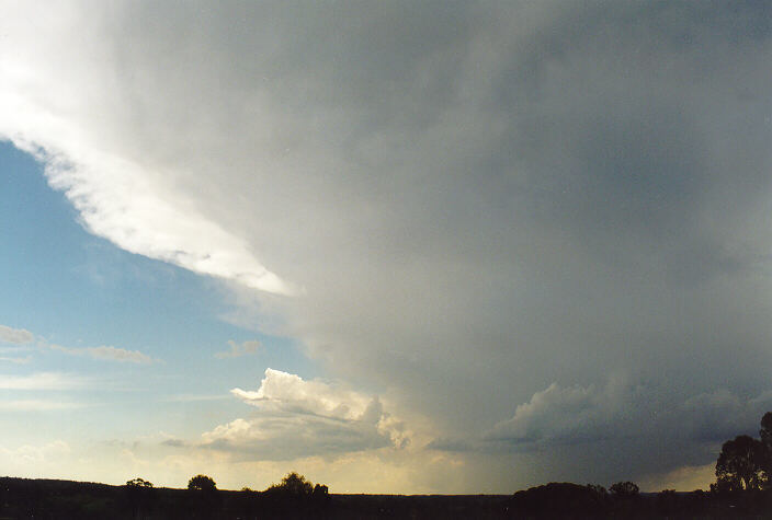 anvil thunderstorm_anvils : Camden, NSW   1 February 1998