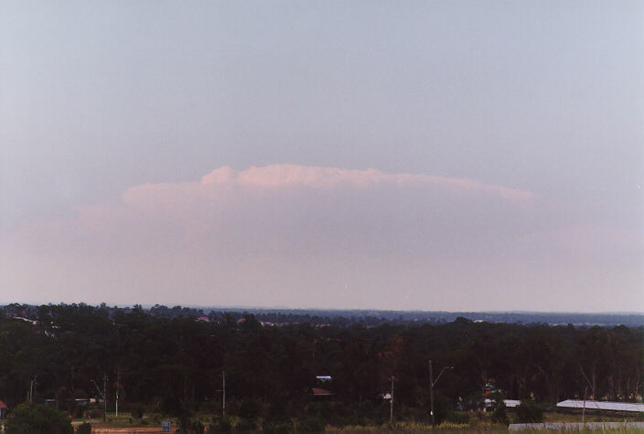 thunderstorm cumulonimbus_incus : Rooty Hill, NSW   4 February 1998