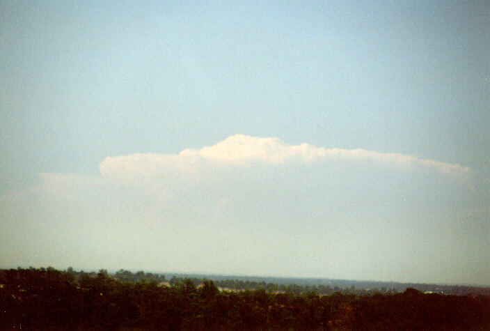 thunderstorm cumulonimbus_incus : Rooty Hill, NSW   4 February 1998