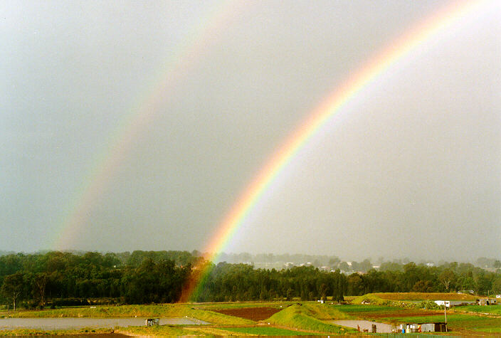 rainbow rainbow_pictures : Schofields, NSW   14 August 1998