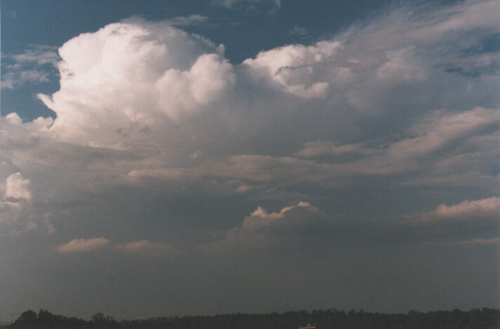 stratus stratus_cloud : Schofields, NSW   7 November 1998