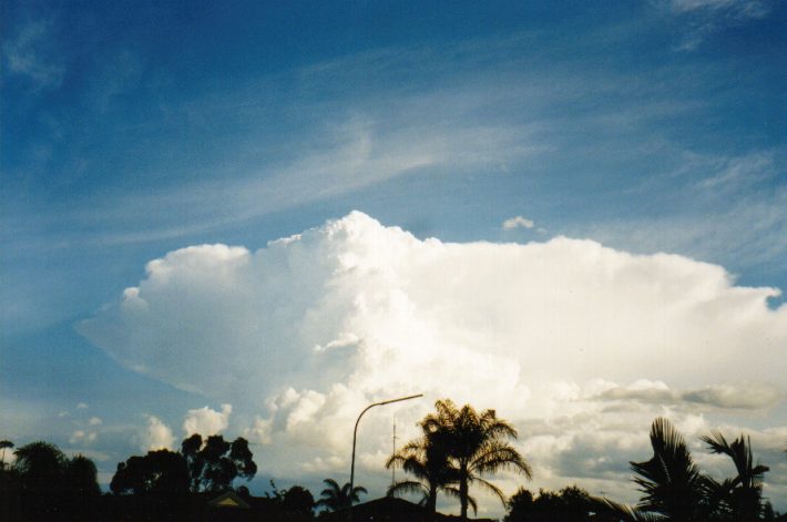 thunderstorm cumulonimbus_incus : Oakhurst, NSW   13 November 1998