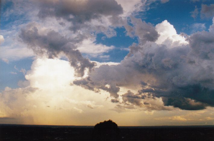 thunderstorm cumulonimbus_incus : Horsley Park, NSW   13 November 1998