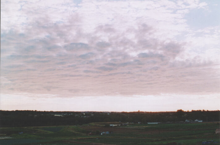 altocumulus mackerel_sky : Schofields, NSW   22 November 1998