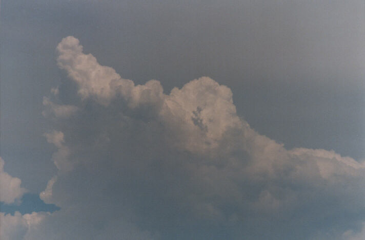 cumulus congestus : Lithgow, NSW   26 December 1998