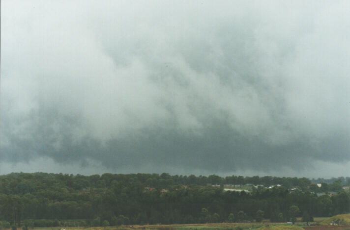 stratus stratus_cloud : Schofields, NSW   22 January 1999