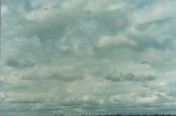 stratocumulus stratocumulus_cloud : Schofields, NSW   27 January 1999
