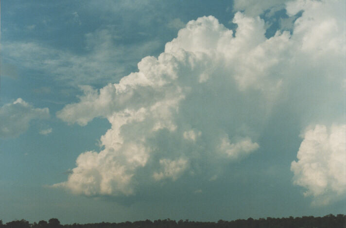 updraft thunderstorm_updrafts : Schofields, NSW   29 January 1999