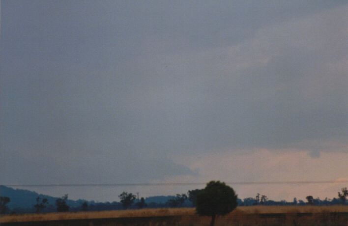 cumulonimbus thunderstorm_base : Breeza Plains, NSW   30 January 1999