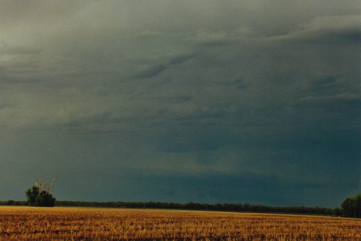 cumulonimbus thunderstorm_base : W of Moree, NSW   30 January 1999