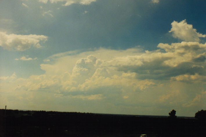 cumulus congestus : Rooty Hill, NSW   4 March 1999