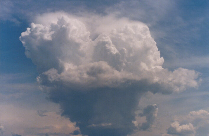 thunderstorm cumulonimbus_calvus : Rooty Hill, NSW   13 March 1999