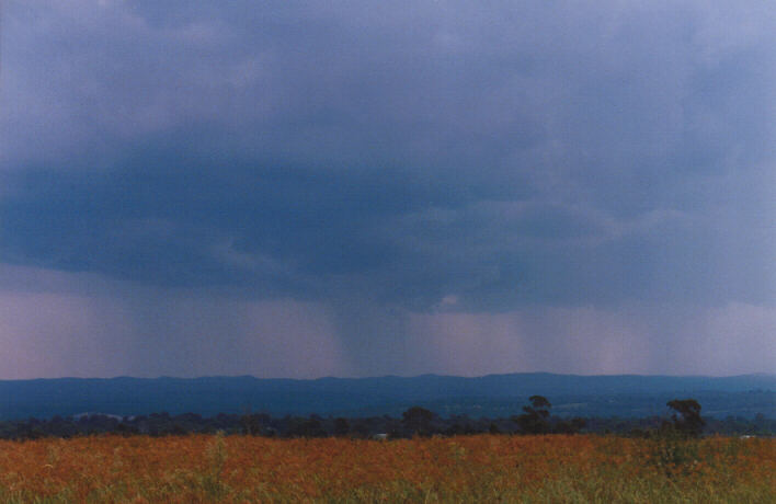 raincascade precipitation_cascade : Luddenham, NSW   13 March 1999