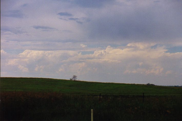 thunderstorm cumulonimbus_incus : Luddenham, NSW   13 March 1999