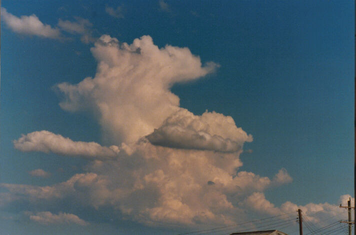 thunderstorm cumulonimbus_calvus : Schofields, NSW   14 March 1999